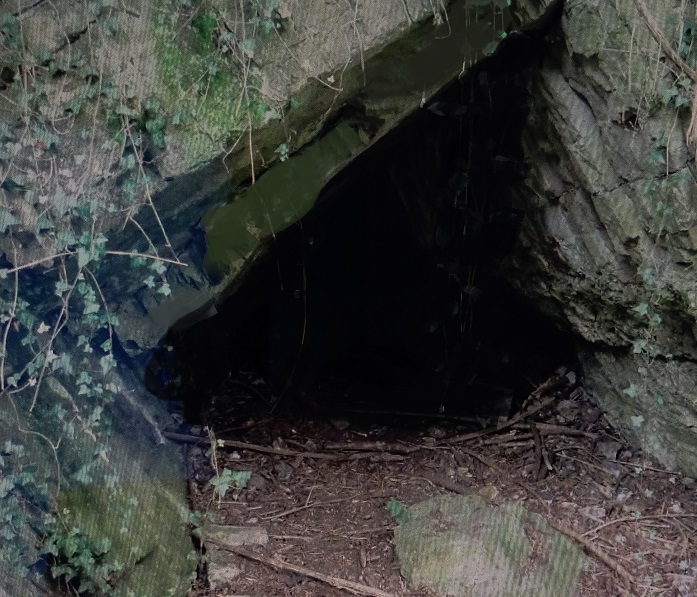 Photo de l'entrée de la grotte du Mont-Falise à Huy