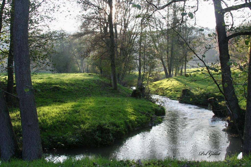 Le Néblon entre la Bourlotte et Néblon le Pierreux 27.10.2014
