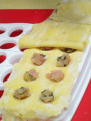 Fichier:Atelier cuisine CCE raviolis10.jpg