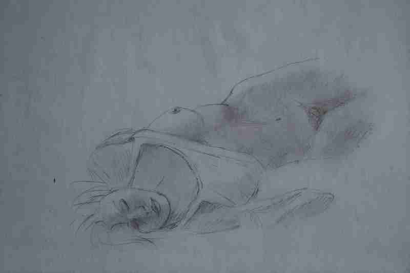 Fichier:Bernard Dejardin1.jpg