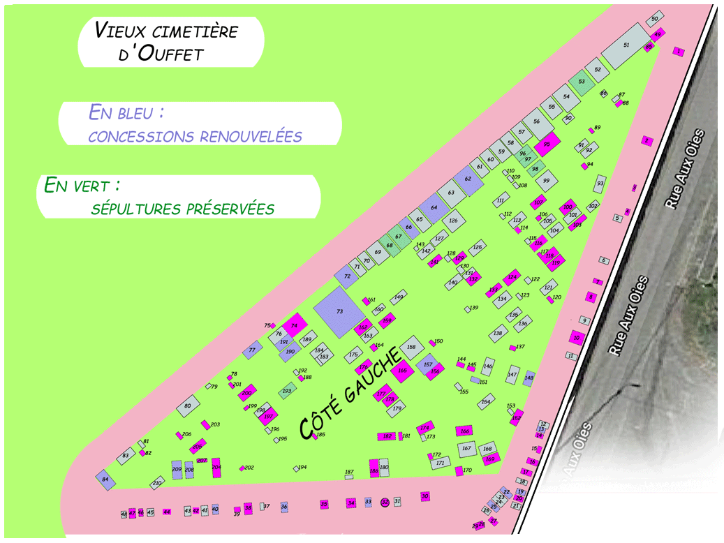 CD4.gif