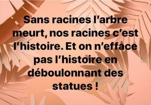 Capture Racisme.JPG