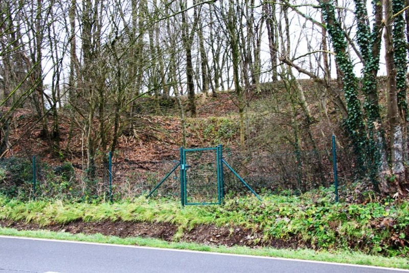 Fichier:IMG 3692.71.jpg