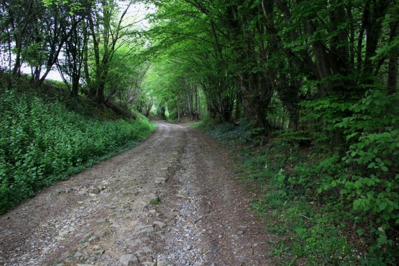 Fichier:IMG 5582.71.jpg