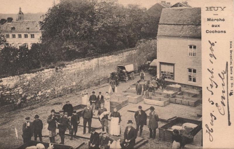 Fichier:Marché aux cochons2.jpg