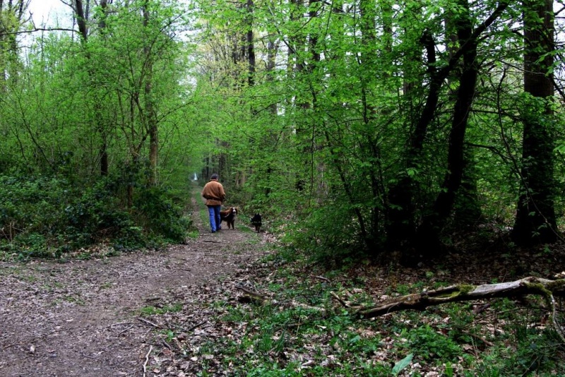 Fichier:IMG 5584.71.jpg