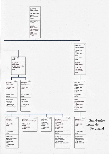 Fichier:Blétard X Willem descendance.jpg