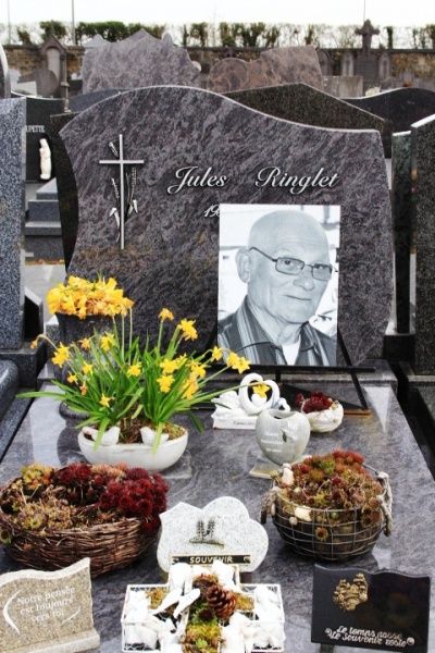 Fichier:Ringlet-Gosset NC339.JPG