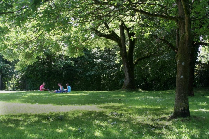 Fichier:IMG 4841.21.71.jpg