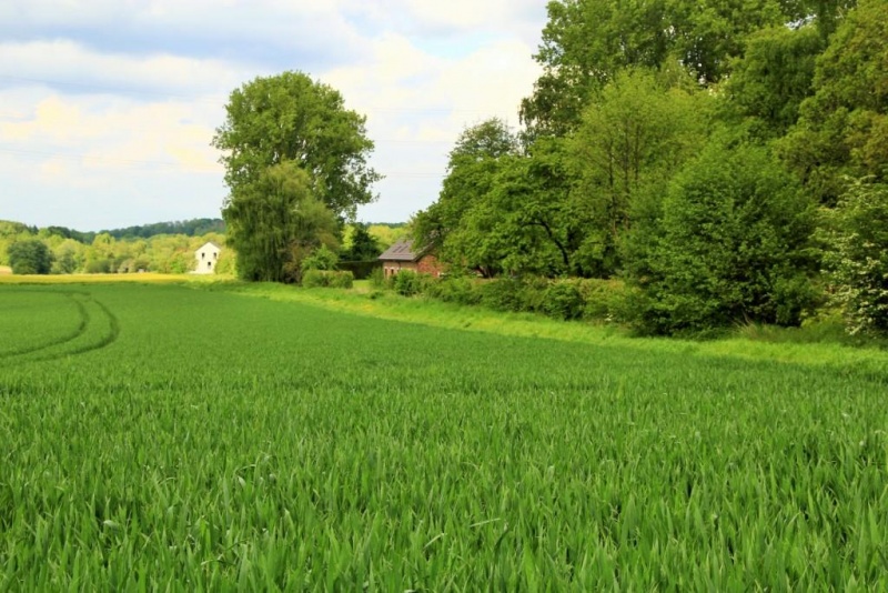 Fichier:IMG 5342.71.JPG