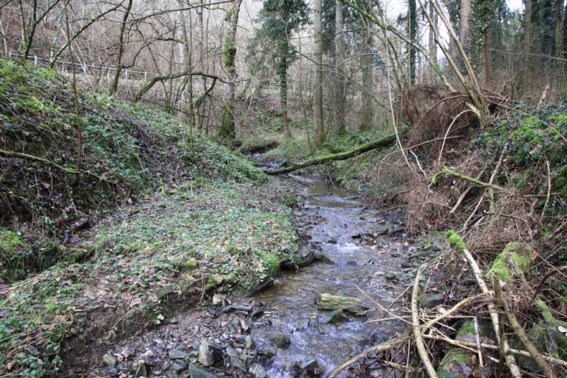 Fichier:IMG 3877.71.jpg