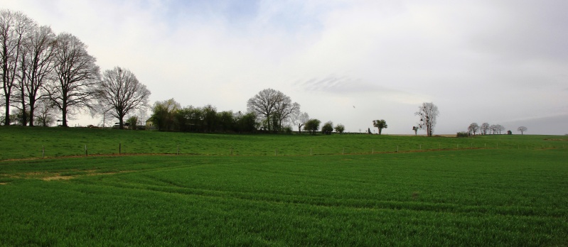 Fichier:IMG 7070.02.71.JPG