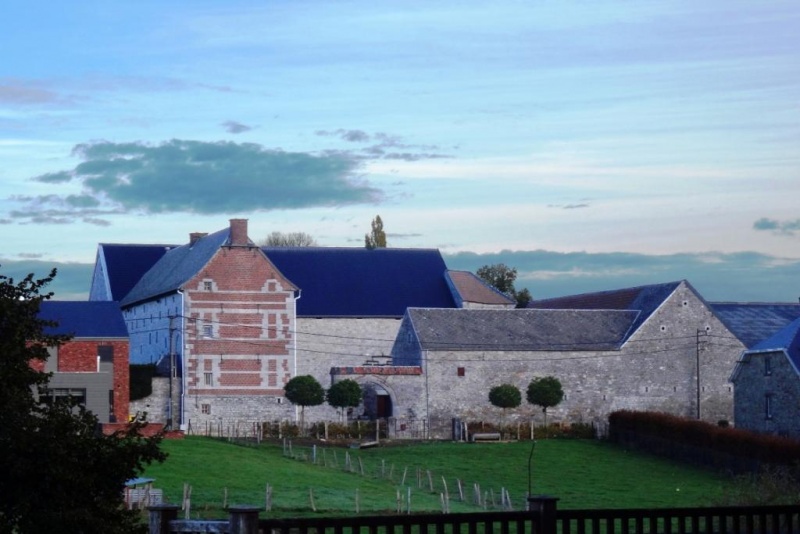 Fichier:Temme 67.71.jpg