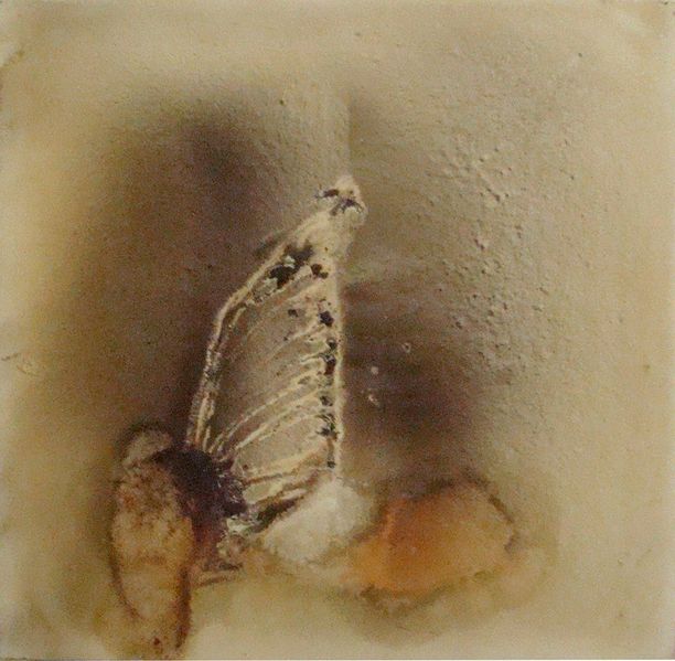 Fichier:Patrick Vanden4.jpg