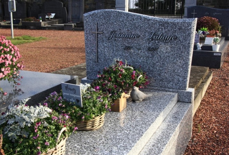 Fichier:Lahaye Jeannine NC557.JPG