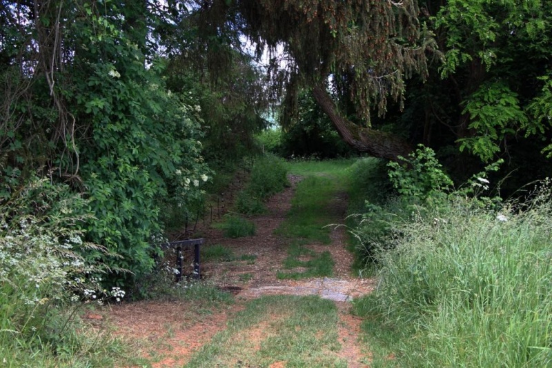 Fichier:IMG 7371.71.JPG