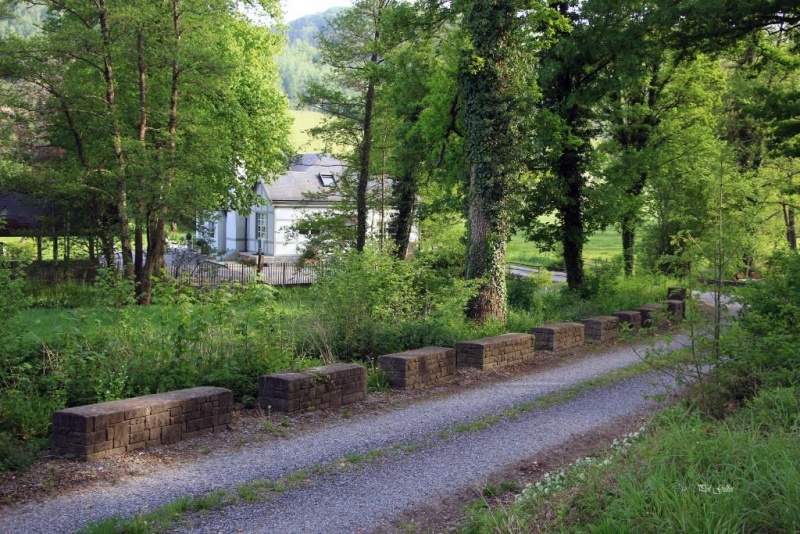 Fichier:IMG 5598.92.71.jpg