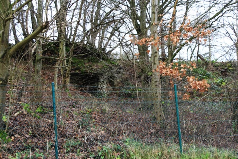 Fichier:IMG 3694.71.jpg