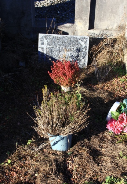 Fichier:Gonda Colette NC659.JPG