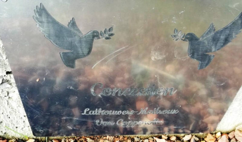 Fichier:Lathouwers- Moitroux Vancoppenolle NC453.jpg