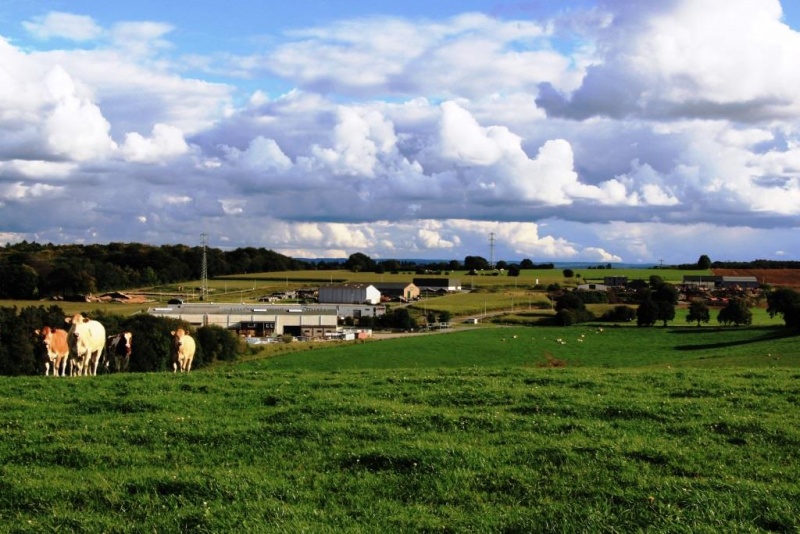 Fichier:IMG 3428.02.71.jpg