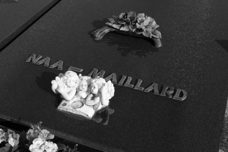 Fichier:Naa-Maillard (2) NC186.JPG