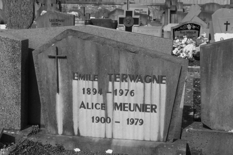 Fichier:Terwagne-Meunier NC315.JPG