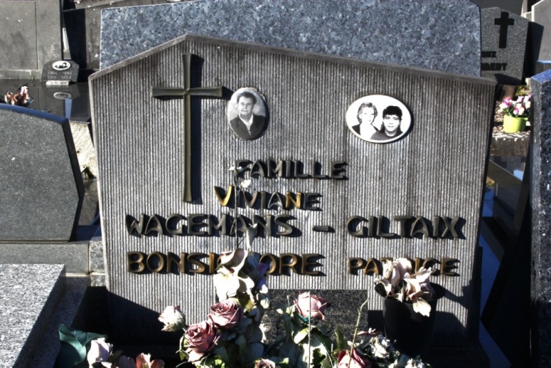 Fichier:Wagemans-Giltay NC381.JPG