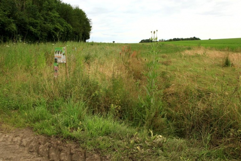 Fichier:IMG 4355.71.JPG