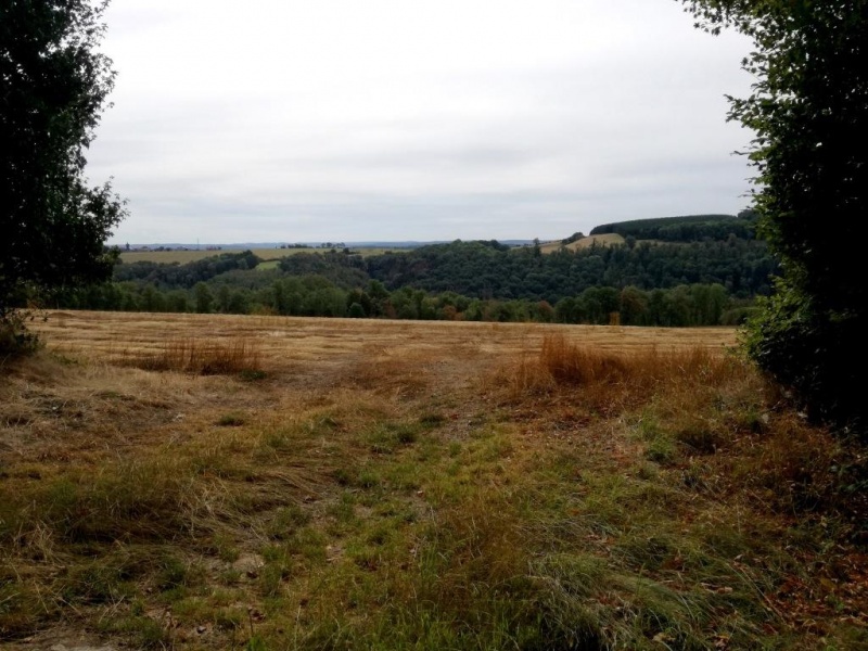 Fichier:IMG S0004.71.jpg