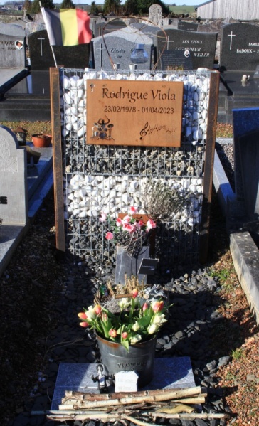 Fichier:Viola Rodrigue NC510.JPG