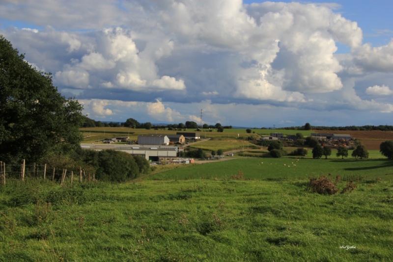 Fichier:IMG 3433.95.71.jpg