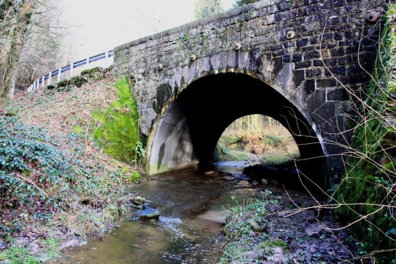 Fichier:IMG 3890.71.jpg