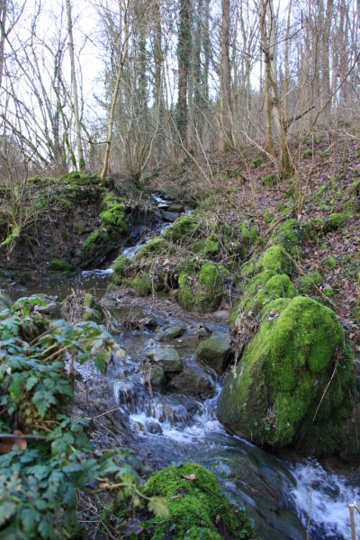 Fichier:IMG 3907.71.jpg