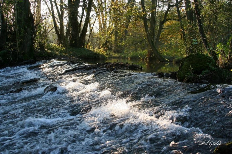 Fichier:IMG 4981.15.92.jpg