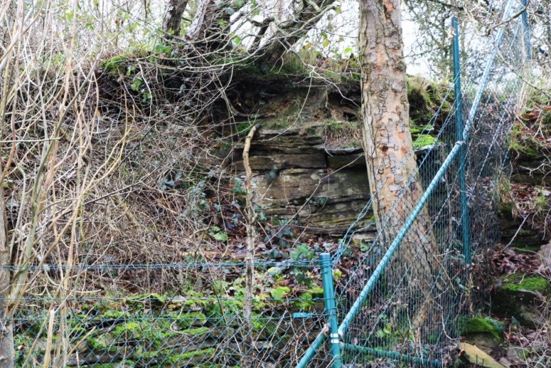 Fichier:IMG 3695.71.jpg