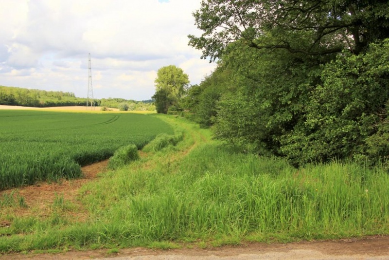 Fichier:IMG 5337.71.JPG