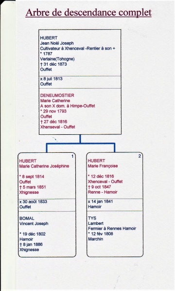 Fichier:Hubert X Deneumostier arbre généa.jpg