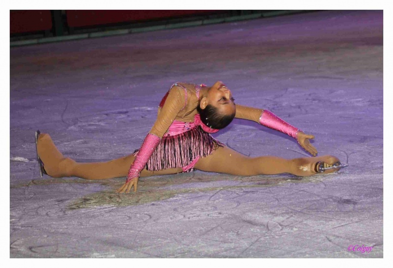 Fichier:Guy Colombel -plaisirs d'hiver 2014R.jpg