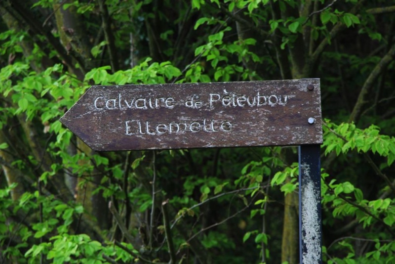 Fichier:IMG 5579.71.jpg