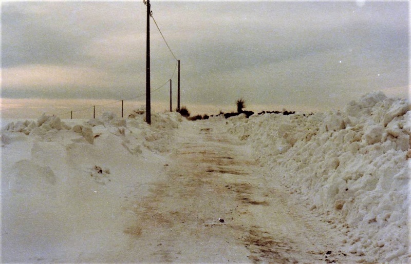 Fichier:R. Warzée 02.jpg