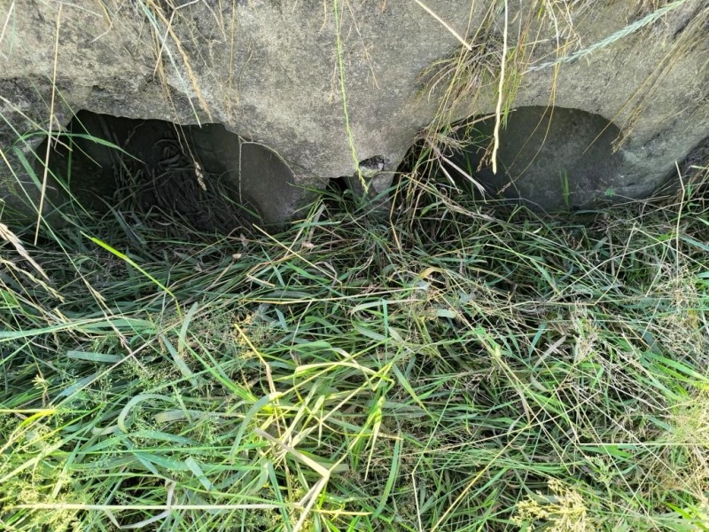 Fichier:IMG 20240718 174552.jpg