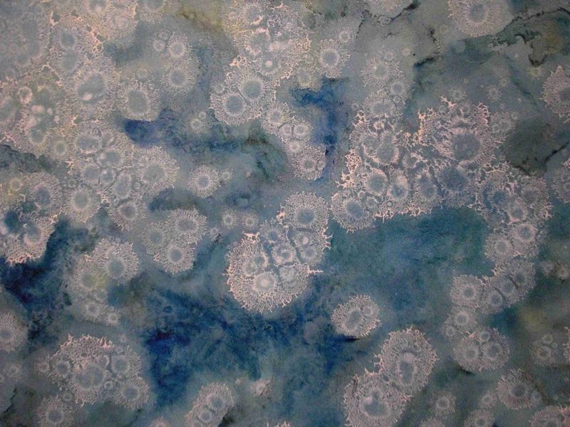 Fichier:Mireille Albert1.JPG