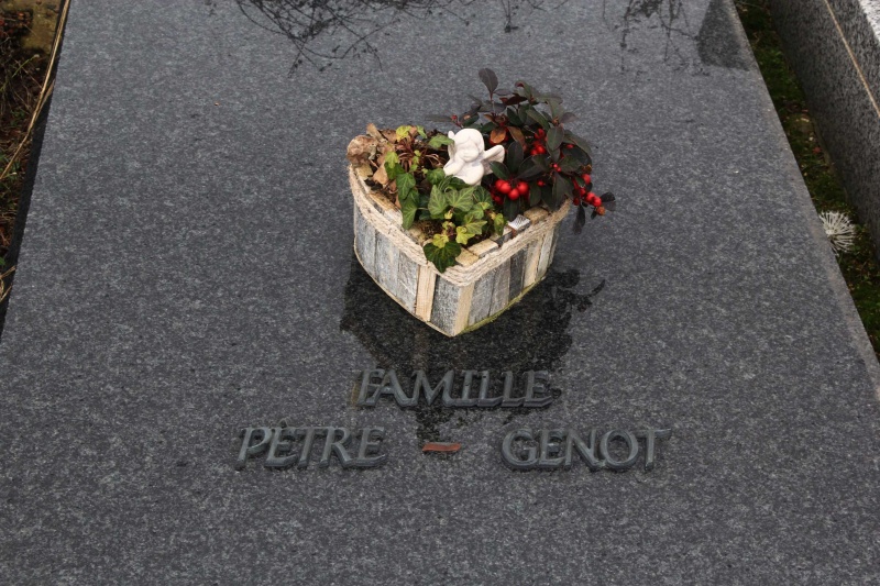 Fichier:Pêtre-Genot NC525.jpg