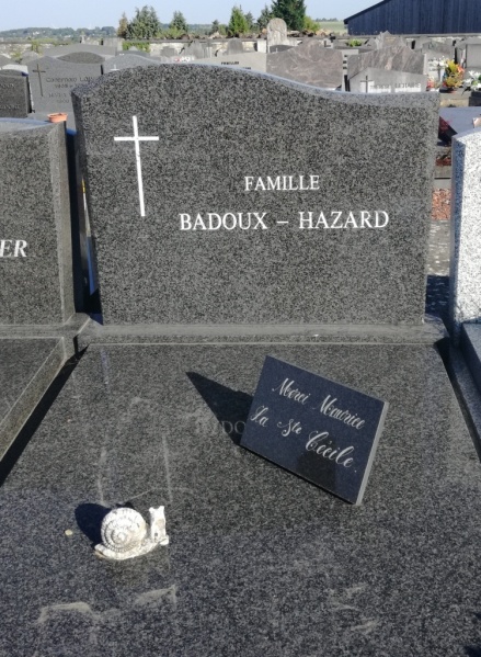 Fichier:Badoux-Hazard NC441.jpg