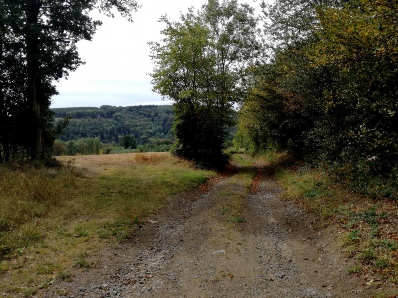 Fichier:IMG S0003.71.jpg