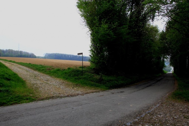 Fichier:IMG 5578.71.jpg