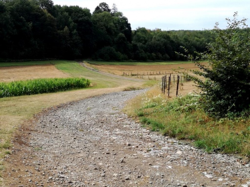 Fichier:IMG S0001.71.jpg