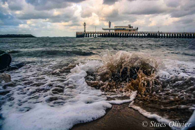 Fichier:Olivier Staes1.jpg