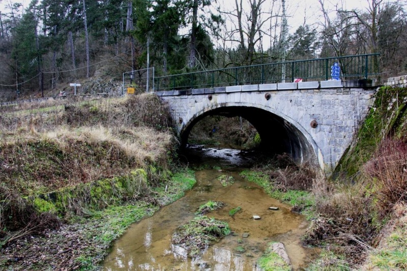 Fichier:IMG 3900.71.jpg